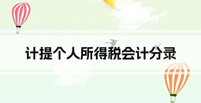 计提个人所得税会计分录