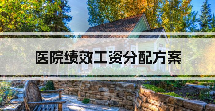 医院绩效工资分配方案