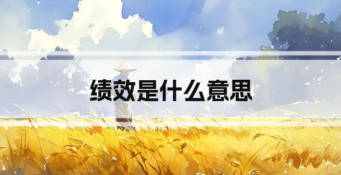 绩效是什么意思