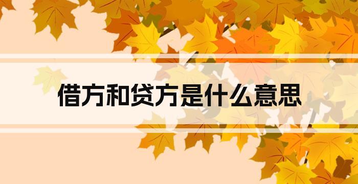 借方和贷方是什么意思