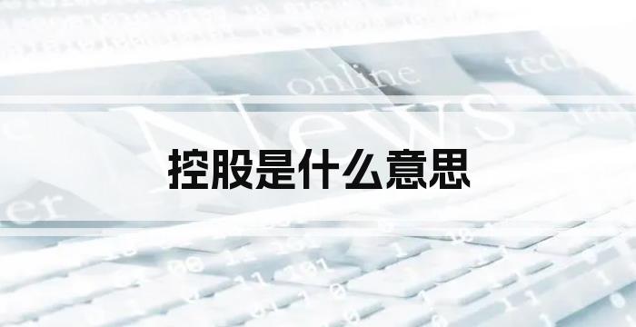 控股是什么意思