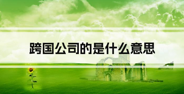 跨国公司的是什么意思