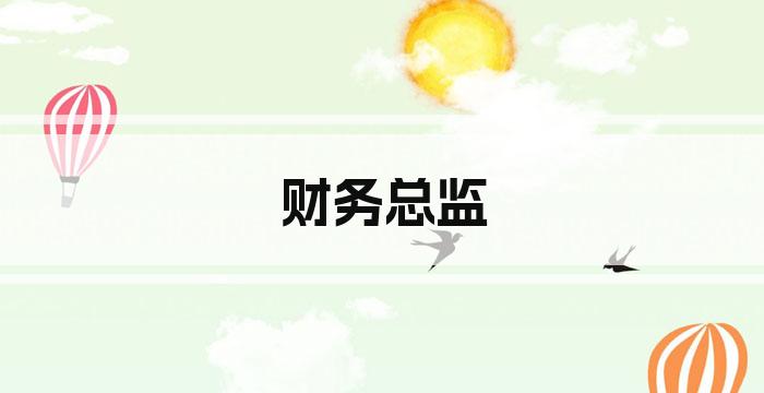 财务总监