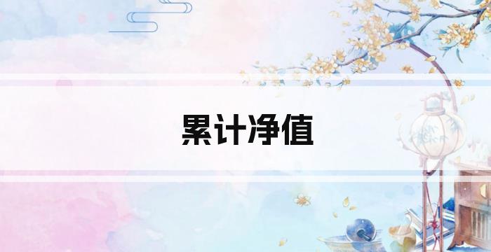 累计净值