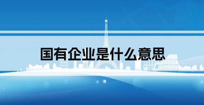 国有企业是什么意思