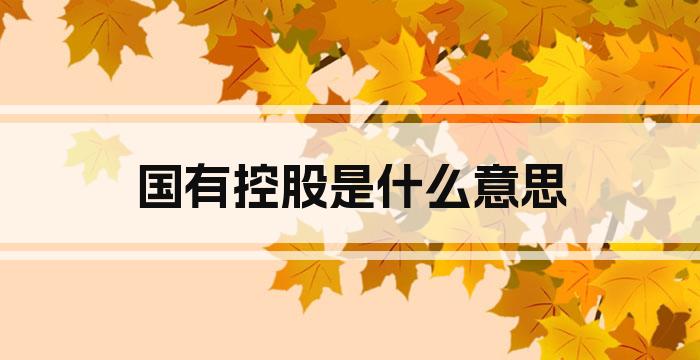 国有控股是什么意思