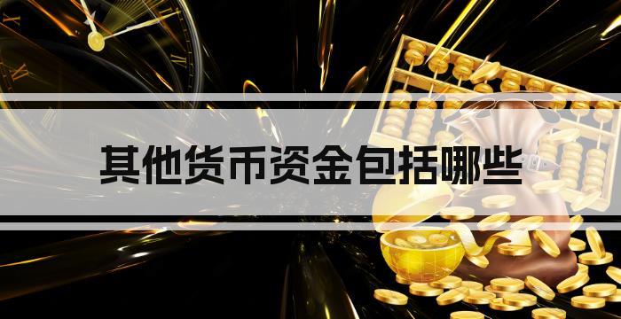 其他货币资金包括哪些