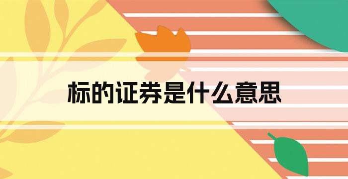 标的证券是什么意思