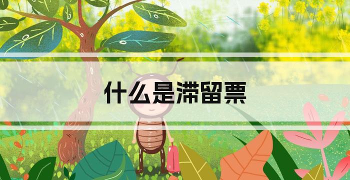 什么是滞留票