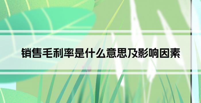 销售毛利率是什么意思及影响因素