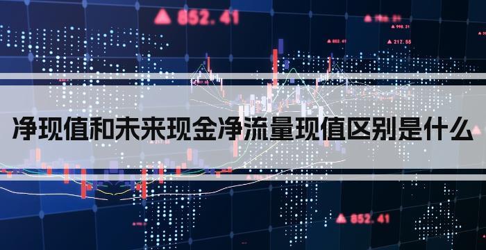 净现值和未来现金净流量现值区别是什么