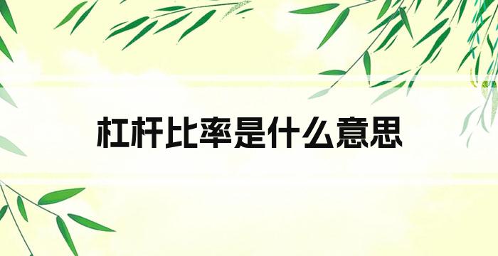 杠杆比率是什么意思