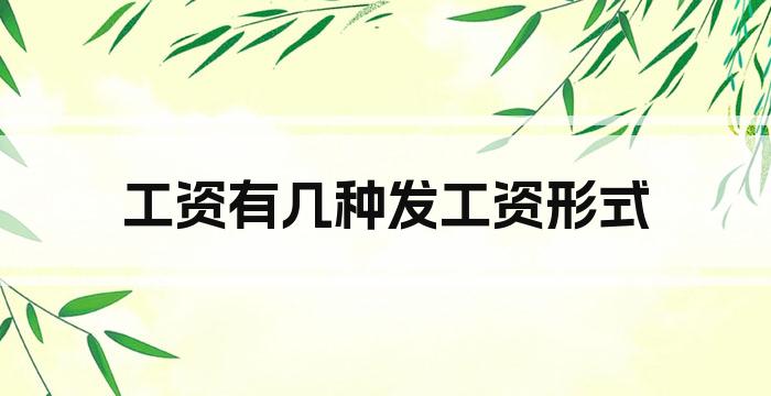 工资有几种发工资形式
