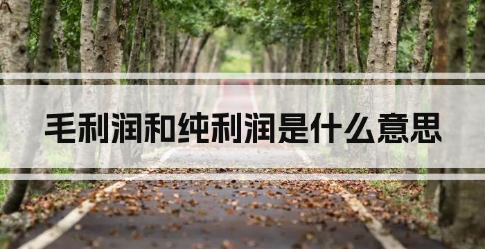 毛利润和纯利润是什么意思