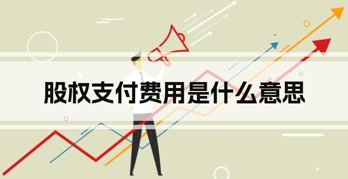 股权支付费用是什么意思