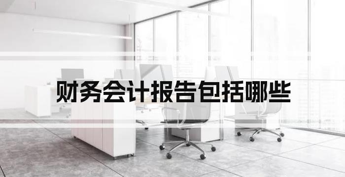 财务会计报告包括哪些