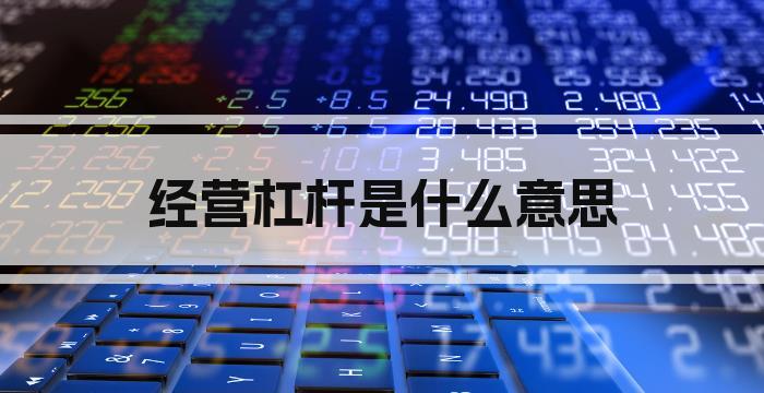 经营杠杆是什么意思