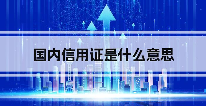 国内信用证是什么意思