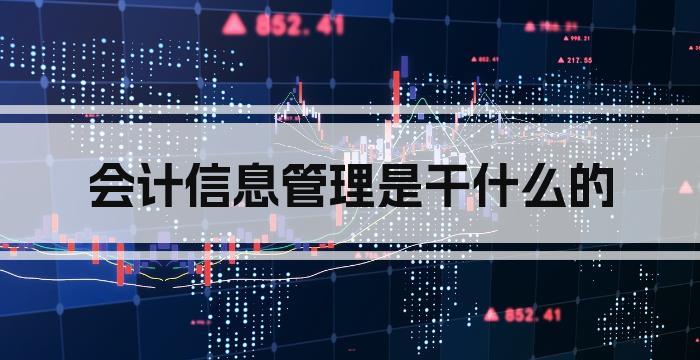 会计信息管理是干什么的