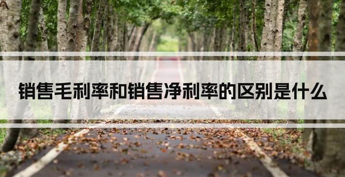 销售毛利率和销售净利率的区别是什么