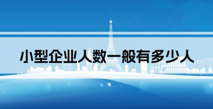 小型企业人数一般有多少人