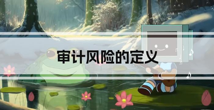 审计风险的定义