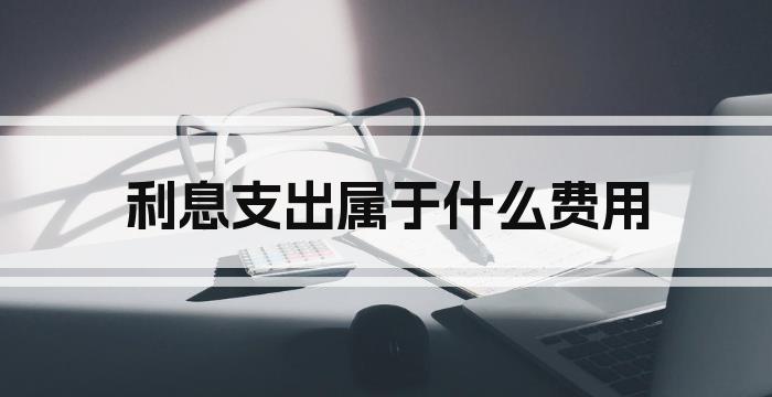 利息支出属于什么费用