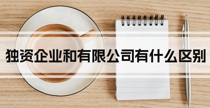 独资企业和有限公司有什么区别
