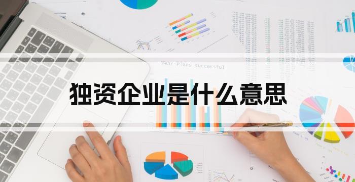 独资企业是什么意思