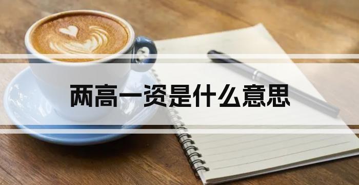两高一资是什么意思