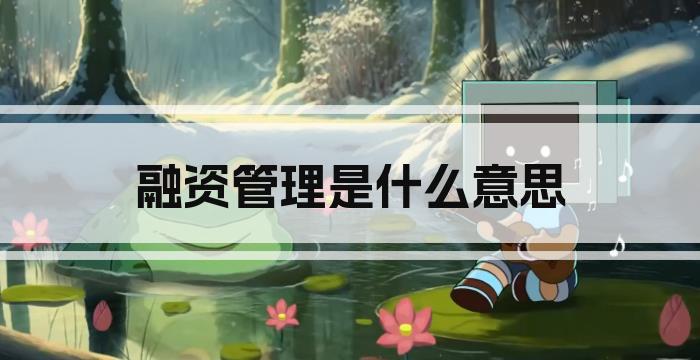 融资管理是什么意思
