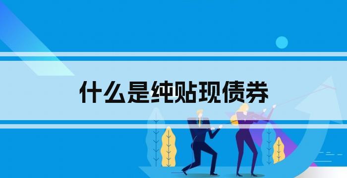 什么是纯贴现债券