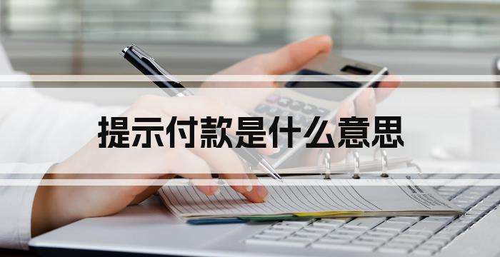 提示付款是什么意思