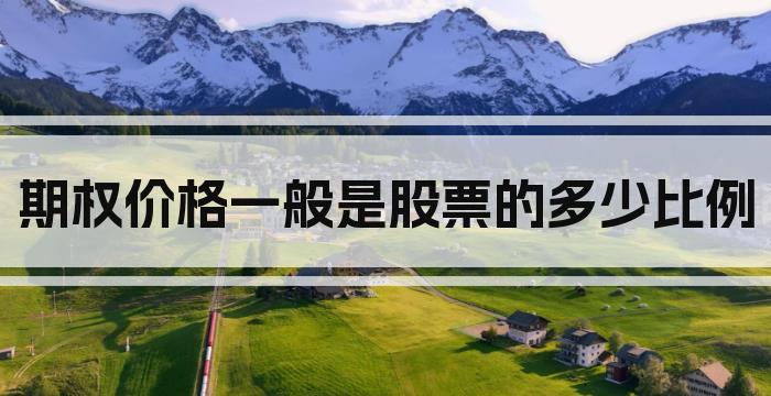 期权价格一般是股票的多少比例