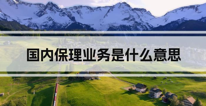 国内保理业务是什么意思