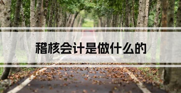 稽核会计是做什么的