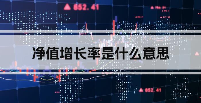 净值增长率是什么意思