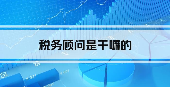 税务顾问是干嘛的