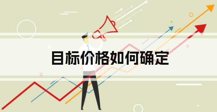 目标价格如何确定