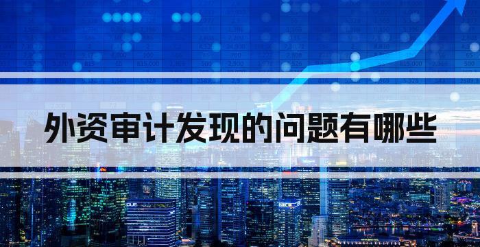 外资审计发现的问题有哪些