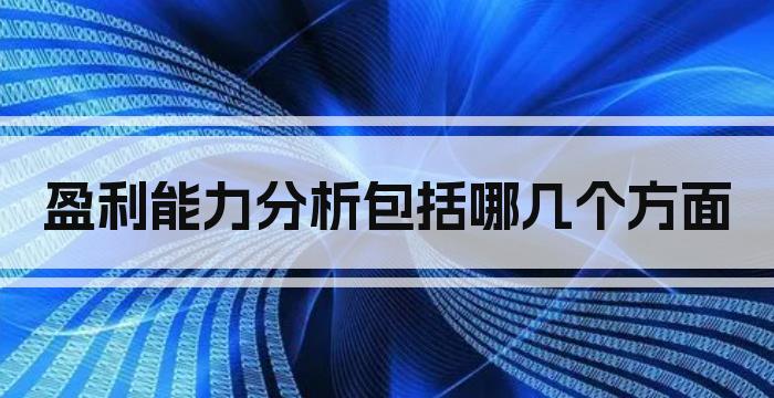 盈利能力分析包括哪几个方面