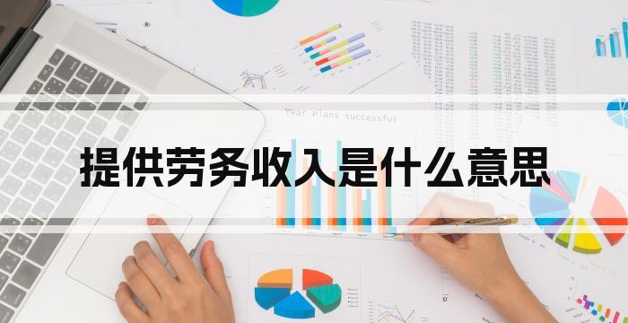 提供劳务收入是什么意思