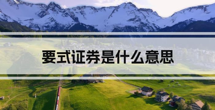 要式证券是什么意思