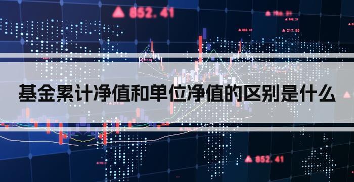 基金累计净值和单位净值的区别是什么