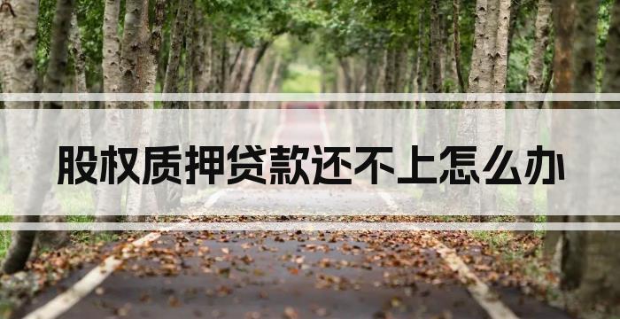 股权质押贷款还不上怎么办