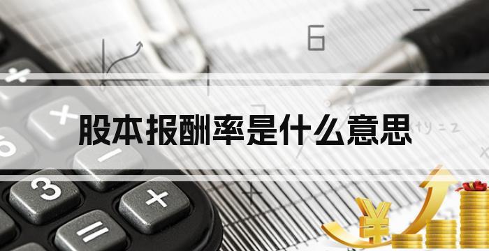 股本报酬率是什么意思
