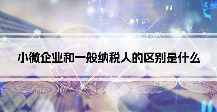 小微企业和一般纳税人的区别是什么