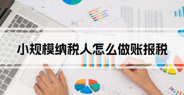 小规模纳税人怎么做账报税