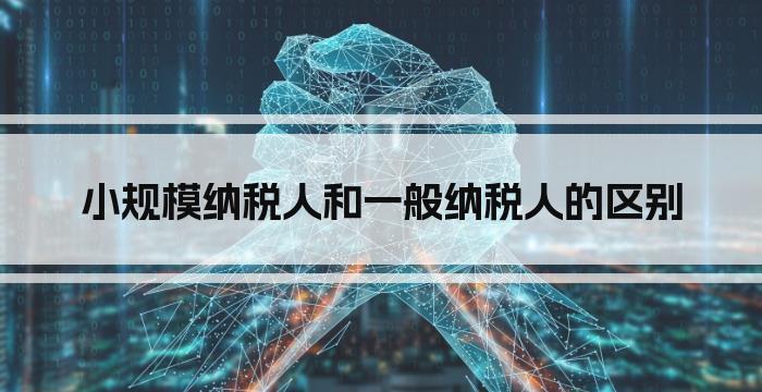 小规模纳税人和一般纳税人的区别