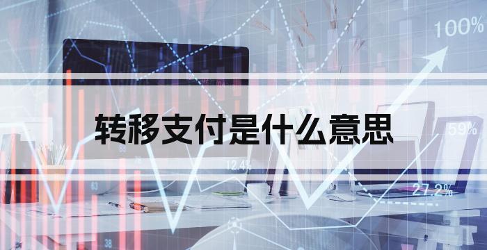 转移支付是什么意思